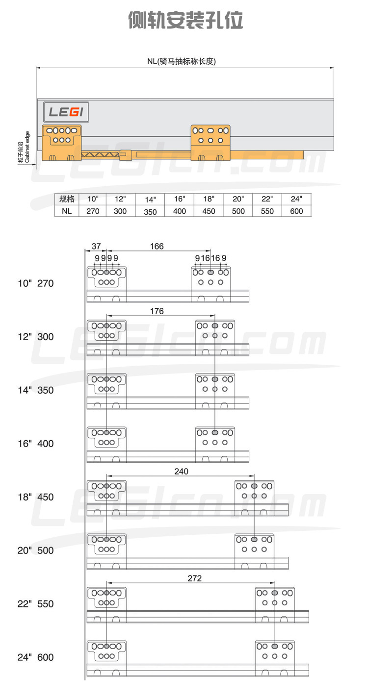 TR鰲bλ